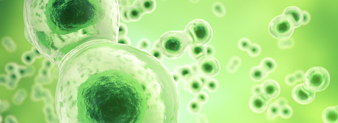 Thumbnail for Biological factors & products